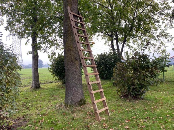Anstellleiter 4 Meter aus imprägniertem Holz 1