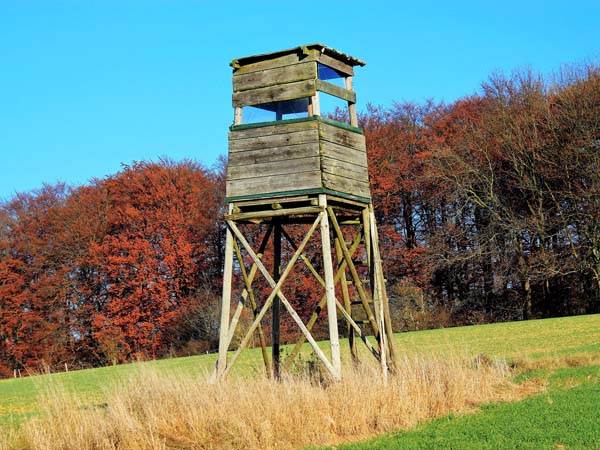 Hochsitz aus Lärche für die Jagd - Hochsitz Outlander Hochsitz aus Lärche für die Jagd - Hochsitz Outlander