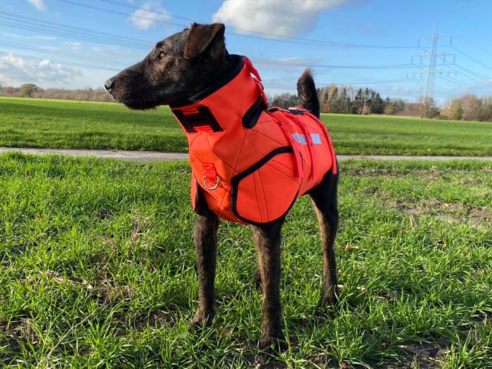 heideterrier-sauenschutzweste-1