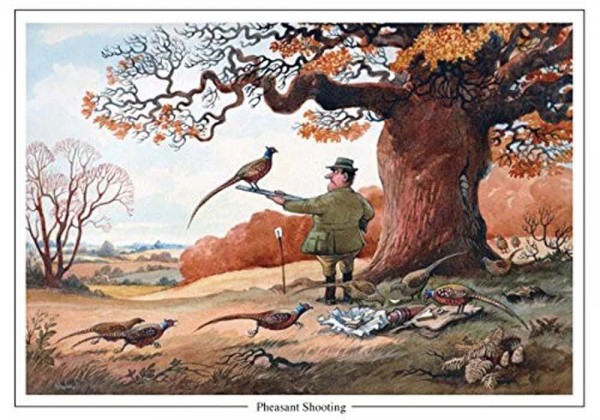 Grußkarte Karikatur Pheasant Shooting