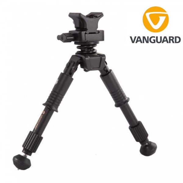 Vanguard Equalizer 1QS 1
