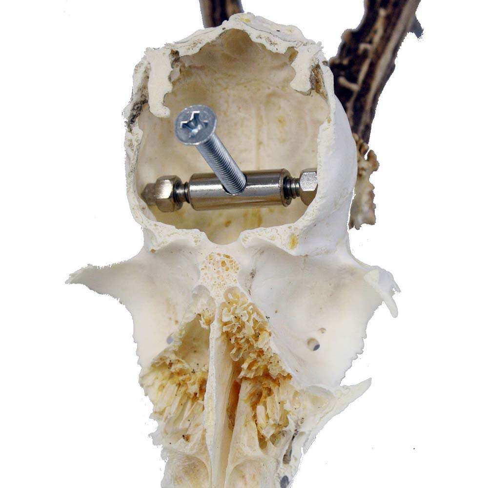 MSSOHKAN 6 Stück Schädel Halterungen - Europäische Aufhänger Für Jagdtrophäen