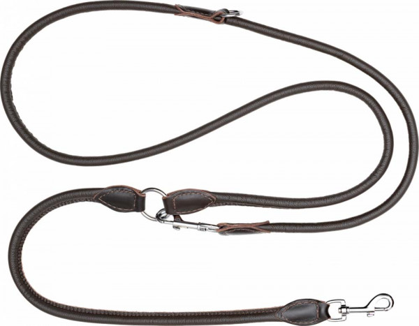 Blaser Hundeleine Leder 1