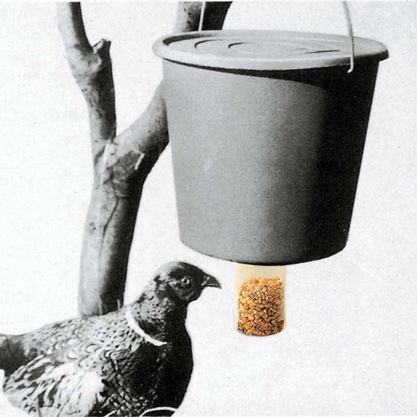 WEGU Futterspender