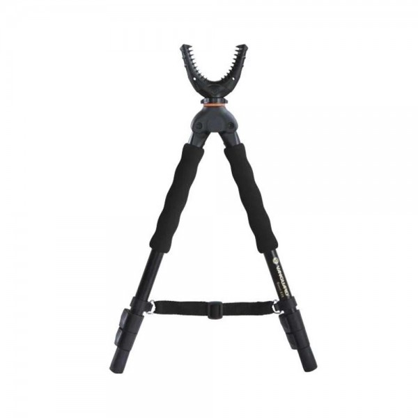 Vanguard Zweibein Quest B38 1
