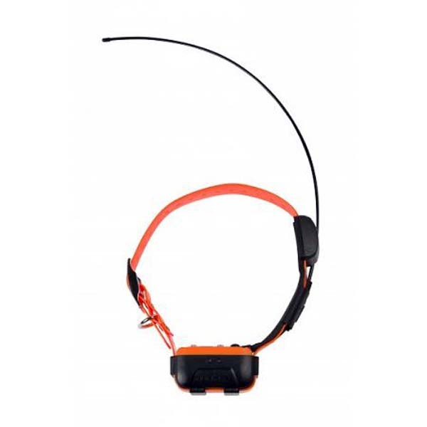Canicom GPS Zusatzhalsband 1