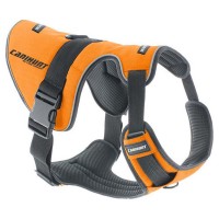 Canihunt Signal Hundegeschirr