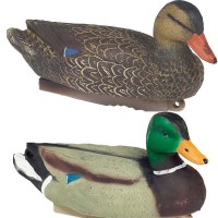 Stepland Lockente/Lockerpel HD